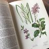[USED] Foreign books German plant encyclopedias Vintage books Botanical