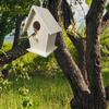 Wooden Bird House Wall Mounting For Small Birds Nice Bird Nest Designed With Perches Solid Birdhouse Weatherproof