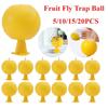5/10/15/20Pcs Strong Flies Traps Bugs Sticky Board Catching Aphid Insects Pest Killer