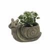 Animal Succulent Pots Cartoon Turtles/Snail/Hedgehog Plant Container Resin Planter for Indoor Cactus and Bonsais
