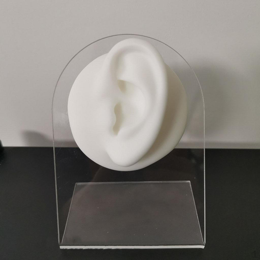 

Силиконовые серьги для тренировок с отображением текстурных пузырей