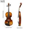 IRIN 4/4 Violin Solid Wood Acoustic Violin Vintage Glossy Violin Hand Polished Textured and Moist Strings Instrument with Case