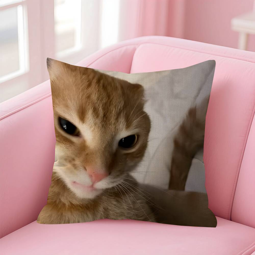 Funny Cat MMeme  Personalized Pillow Cover Kids Bedroom Wild Party Decor Pillowcase Kid Birthday Shower Gift