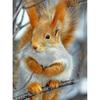 5D DIY diamantová malba Zvířecí veverka Umělecká sada křížového stehu Kamínkový obrázek Úplné diamantové vyšívání Mozaikové dekorace dárek