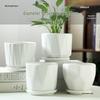 Elegant White Ceramic Flower Pot with Tray - Ideal for Ivy, Spider Plants, and Succulents