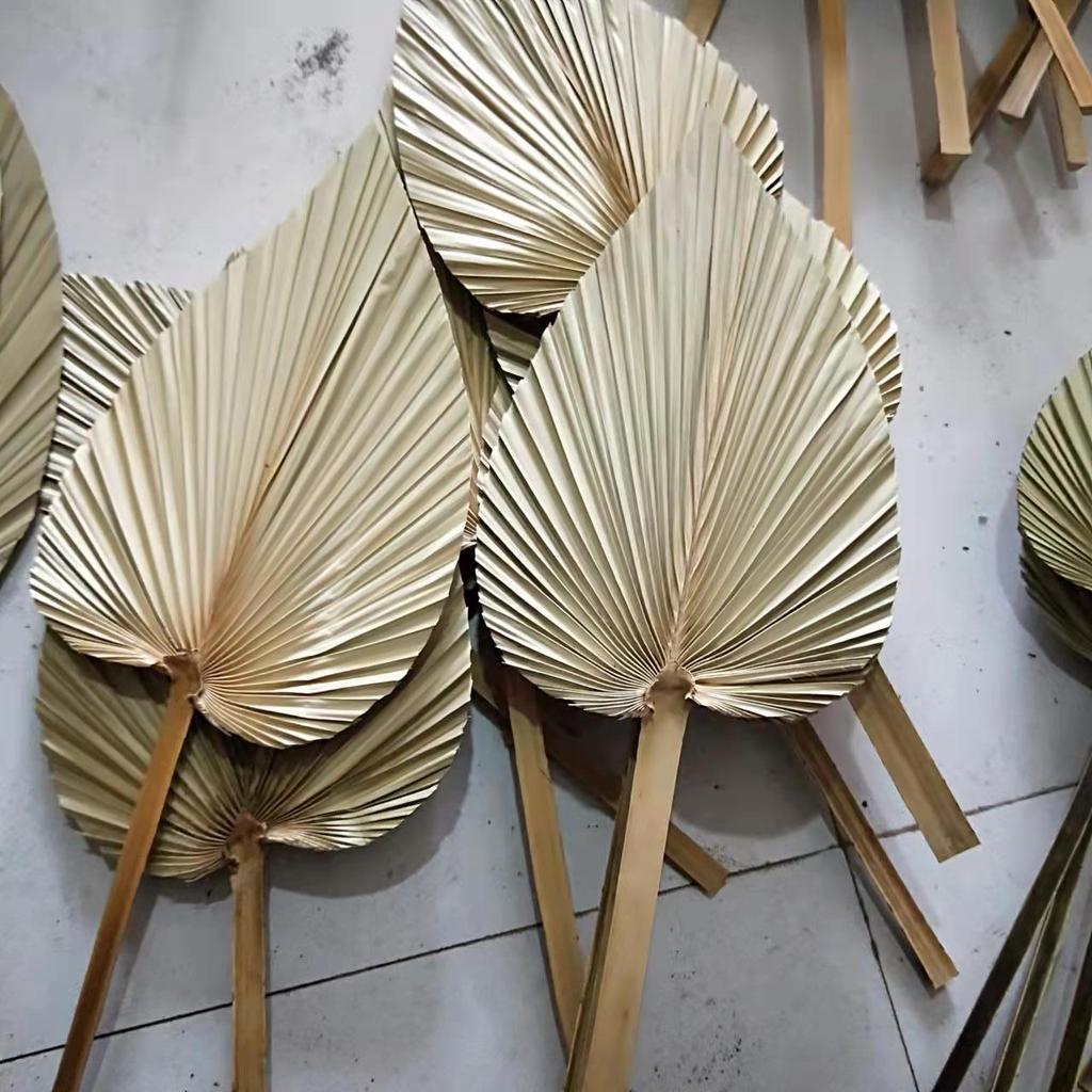 Nordic Style Large Cattail Leaf Fan Dried Flowers Sunflower Leaves Palm Leaves Aesthetic Flower Arrangement Material Wedding Sha