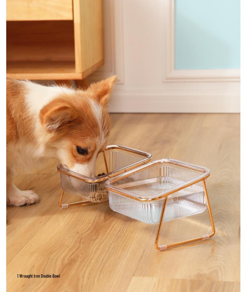 Uniwersalna miska dla zwierząt i fontanna do picia dla kotów i psów