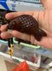 Small-Leaf Red Sandalwood Pendant: Wealth-Attracting Pixiu, Gourd, Dragon, Tortoise Design