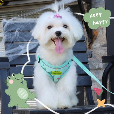 Hundegeschirre Welpenleine Klein Mittelgroßer Hund Brustgurt Cartoon Dinosaurier Spaziergang Hundeleine Outdoor Reflektierende Haustierprodukte Atmungsaktiv