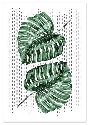 Monstera Leaves Poster