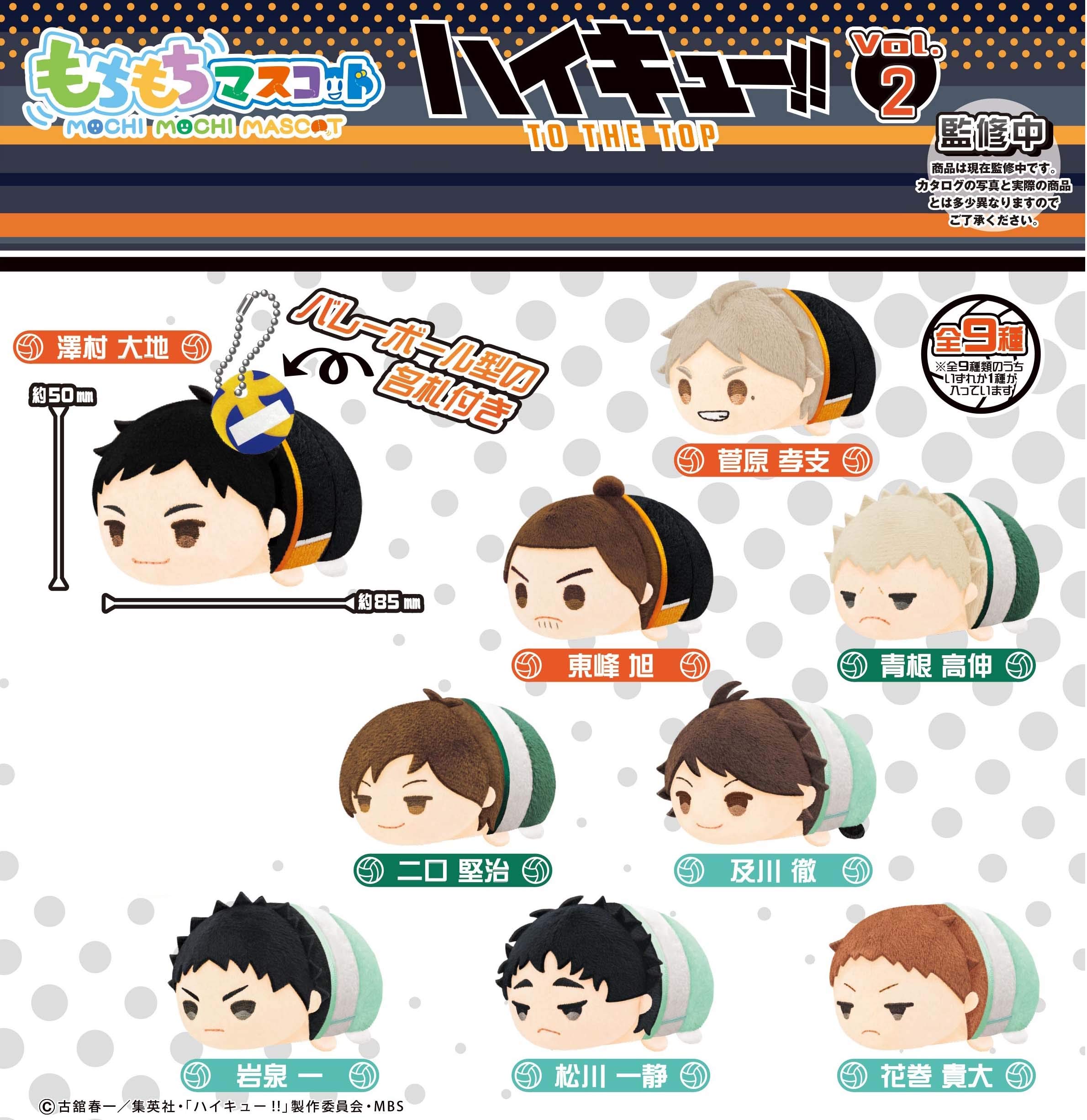 

Character Fancy Division (skjapan characterfancy section) Mochimochi Mascot Haikyu!! Vol.2 9-piece box