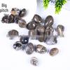 Natural Volcanic Agate Tumbled Stone Child's Archaeology Toy Bonsai