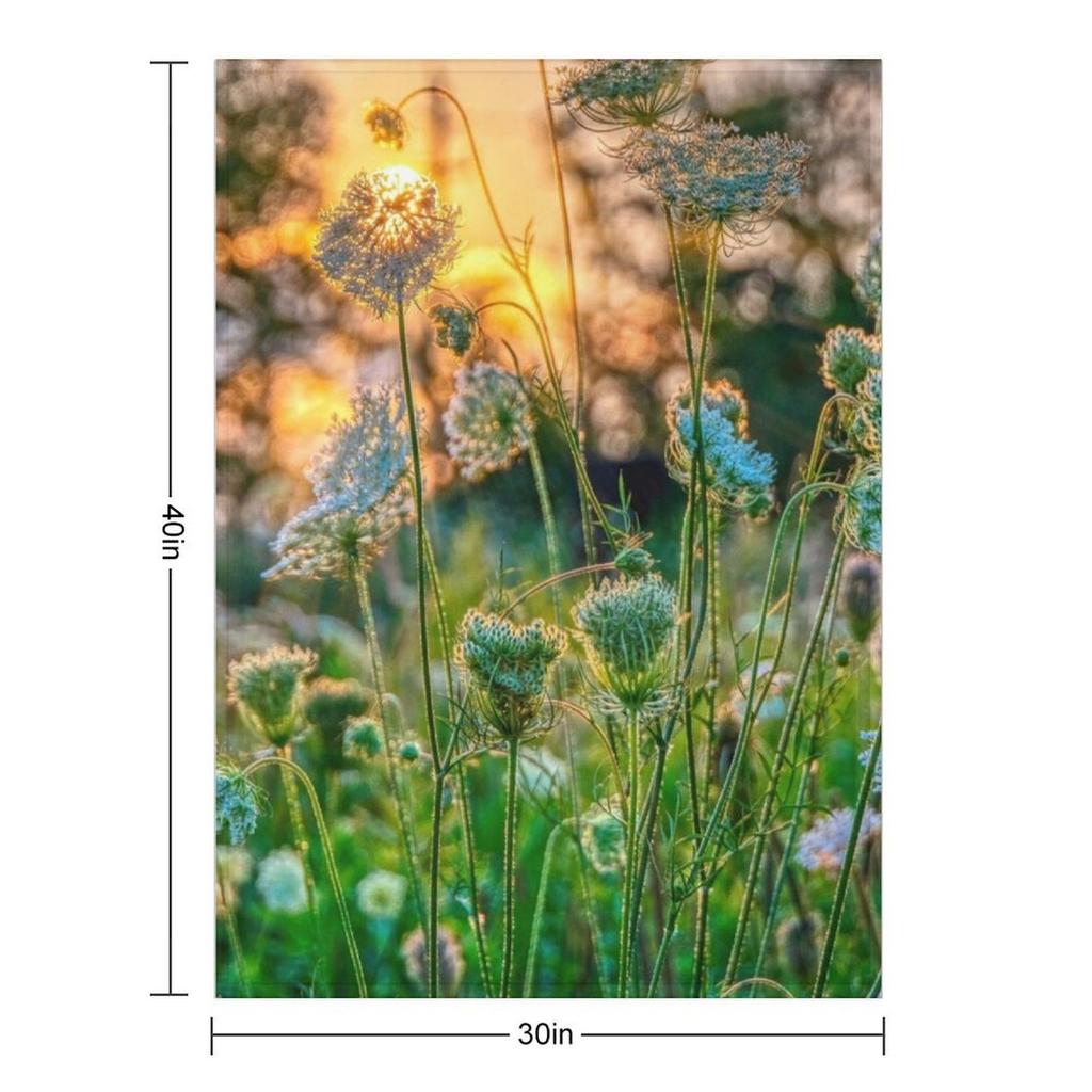 Sonnenuntergang hinter Wilder Möhre Überwurfdecke Decken für Baby Sofabett Extra Großer Überwurf Weiche Decken