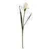 Hill Interiors The Natural Garden Collection Fringed Iris Artificial Flower