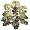 Decorațiuni pentru casă – Flori decorative şi coroane de flori