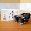 Starting Salary Present Sake Cup Set Tokkuri Ochoko Set Pottery for Japanese Sake Stylish Arita Ware 1 Sakkuri 2 Sake Cups Set Oxidized Silver Gift In