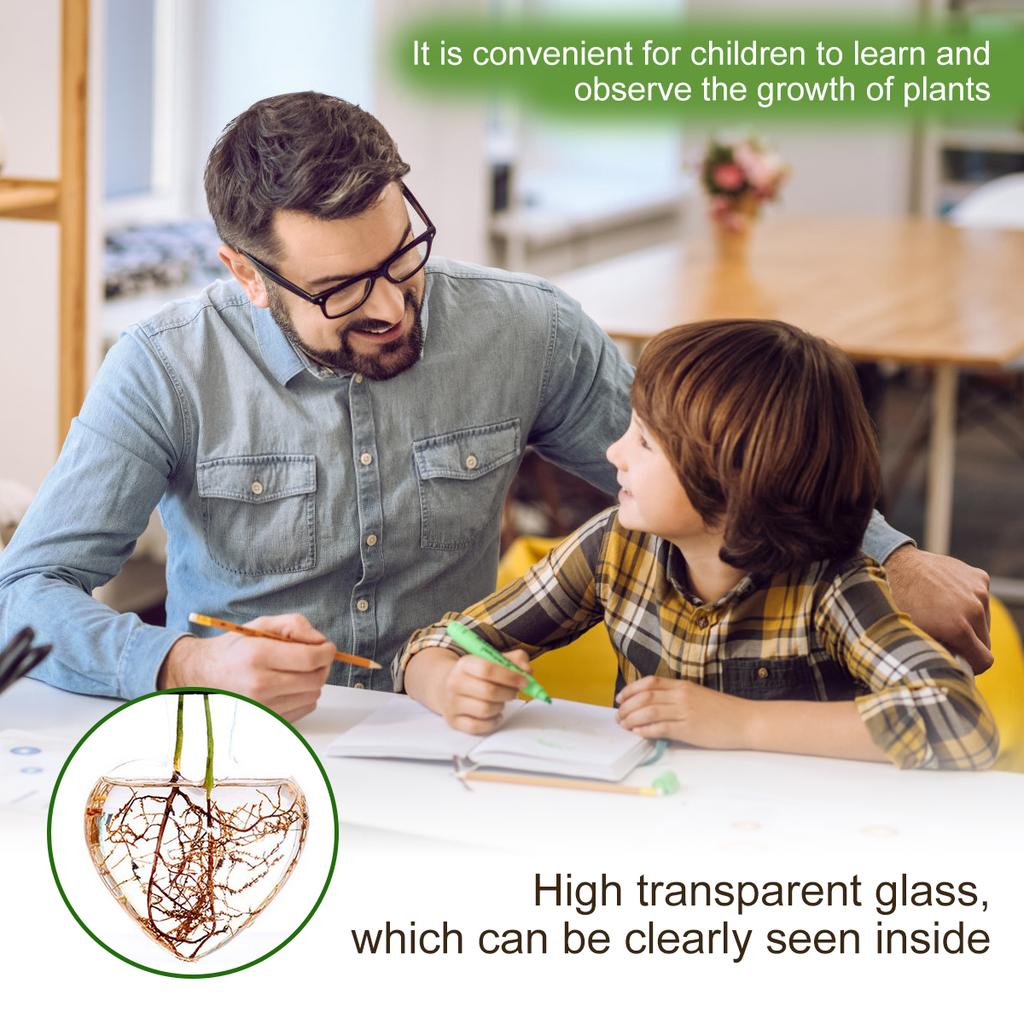 1Pc Heart Shape Hydroponic Vase Desktop Glass Plant Terrarium with Wood Support Stand Glass Vase Water Plant Propagation Station