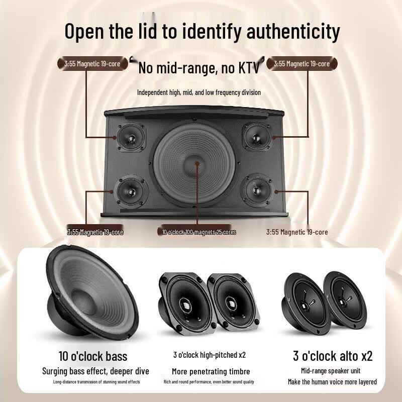 SAST Home Theater KTV Audio System (CN Version)