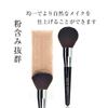 SIXPLUS Large Powder Brush F31 (Black)