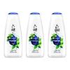 Liushen Cool Refreshing Shower Gel 3-Pack