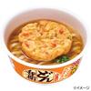 Donbei Oni Kakiage Udon Boku no Hero Academia Package 96g