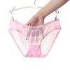 Low-Rise Transparent Mesh Triangle Panties - Hot & Sexy Japanese Cute Women's Underwear, New Seamless European & American Style (1533)