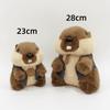 Soft Vest Groundhog Plush Doll Popular Vest Marmot Plush Doll Marmot Plush Toy  Home Decor