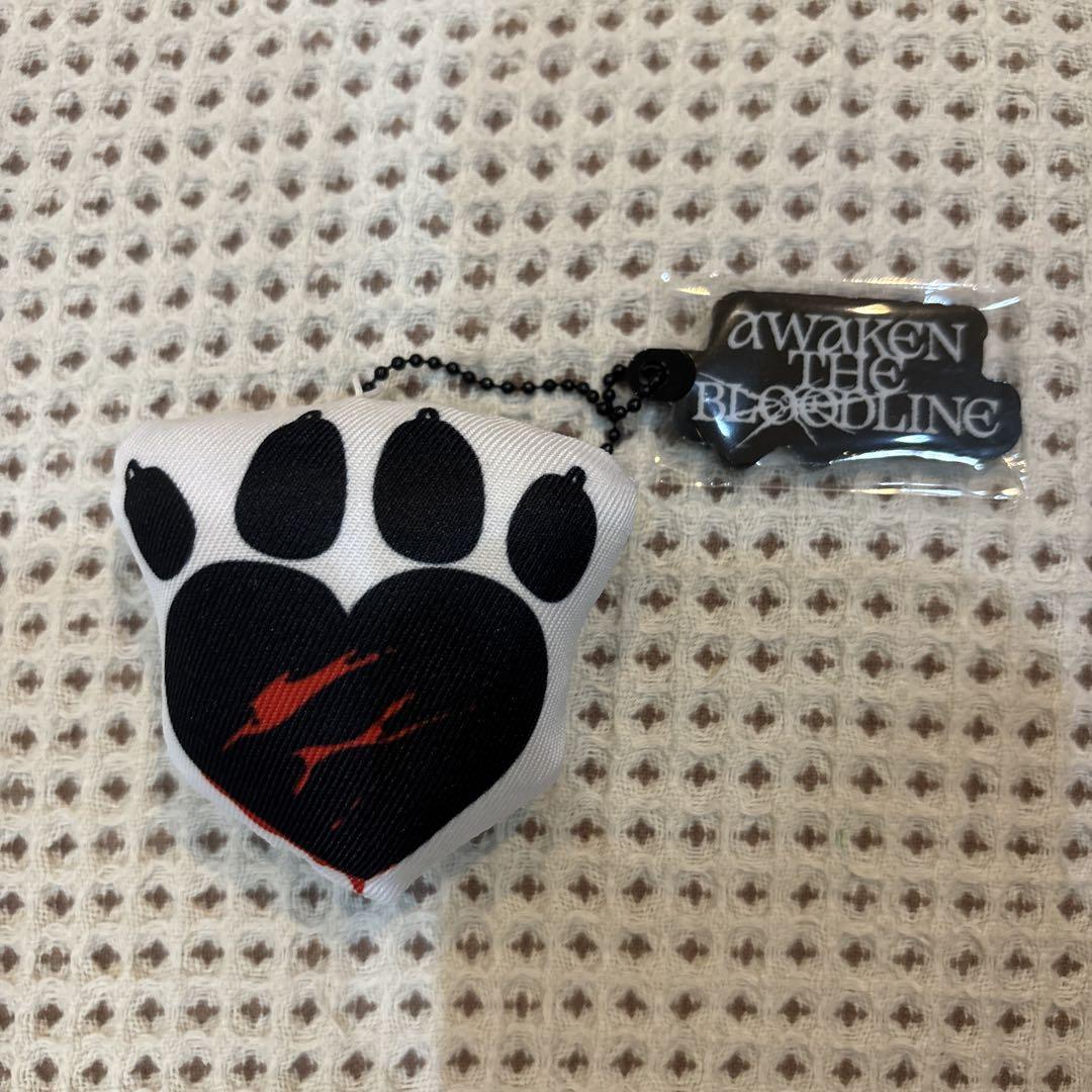 

[Б/У] &TEAM Ajitsu EJ Wiju Cushion Keychain
