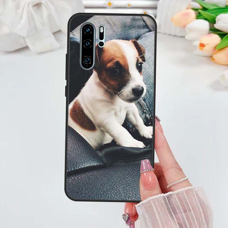 Jack Russell Terrier Dog Case For Huawei Nova 5T 3i 7i 8i 11i 10 9 SE Y60 Y61 Y70 Y90 P20 P40 Lite P60 P30 Pro Cover