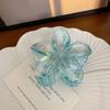 Hairpin Flower Hair Clip Cute Grab Clip Plastic Large Hair Claw Beach Headwear Hair Accessories Transparent Hair Clip Female