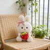 Plush Toys, Cute And Perfect Birthday Gifts For Friends And Classmates, Graduation Gifts