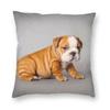 Pet Dog Funny Puppy Floor Pillowcase Living Room Home Decor Nordic English Bulldog Cushion Cover