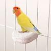 4 Pcs Birds Beak Grinding Stone Parrot Calcium Perch Chewing Toy Birds Foot Claws Trimmer Platform for Small Medium Birds Parakeet Lovebird Cockatiel