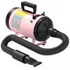 2200W Dog Hair Dryer with Adjustable Temperature & Velocity, 3 Different Nozzles, Pink