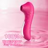 Powerful Vacuum Clitoral Sucker Vibrator, Silicone Female Clitoral Stimulator Masturbator, Adult Sexy Sex Toys, Sex Toys 18+
