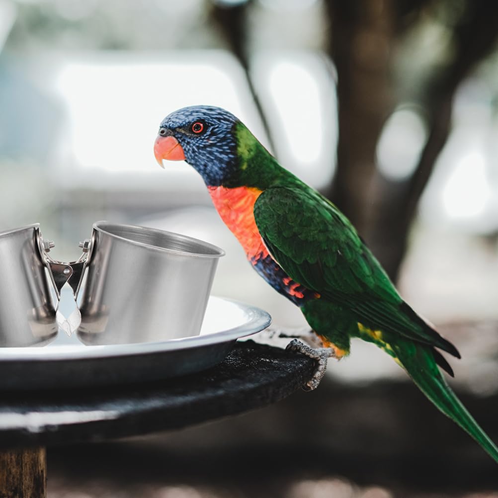 Milisten 2 Pieces Parrot Bowl Cage Bird Feeder Hanging Bowl Fixed Hamster Bowl Stainless Steel Small Animal Bowl Small Bird Tableware Rust Proof