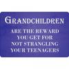 Grandchildren The Best Reward Plaque