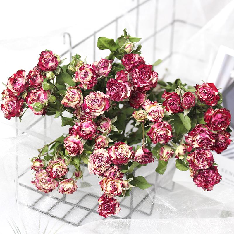 Small Dried Rose Buds for DIY Flower Arrangements and Home Decor