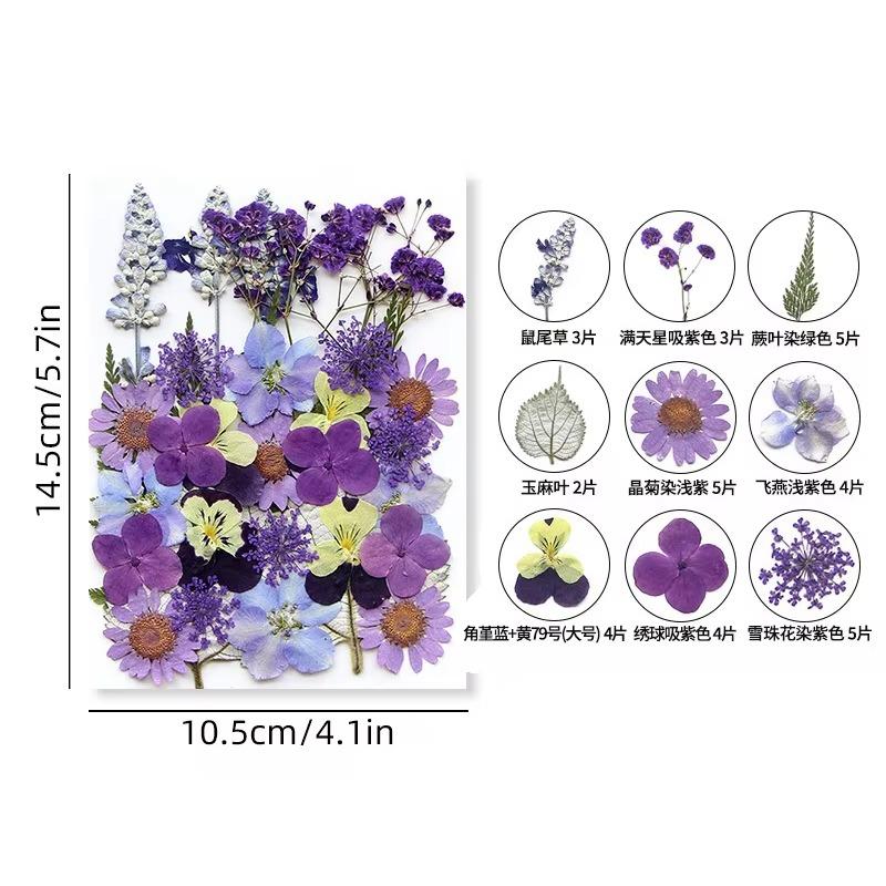 31-35PCS Dried Flower Set Mixed Multiple Pressed Flower Leaves DIY Candle Resin Nails Jewelry Pendant Crafts Art Floral Decors