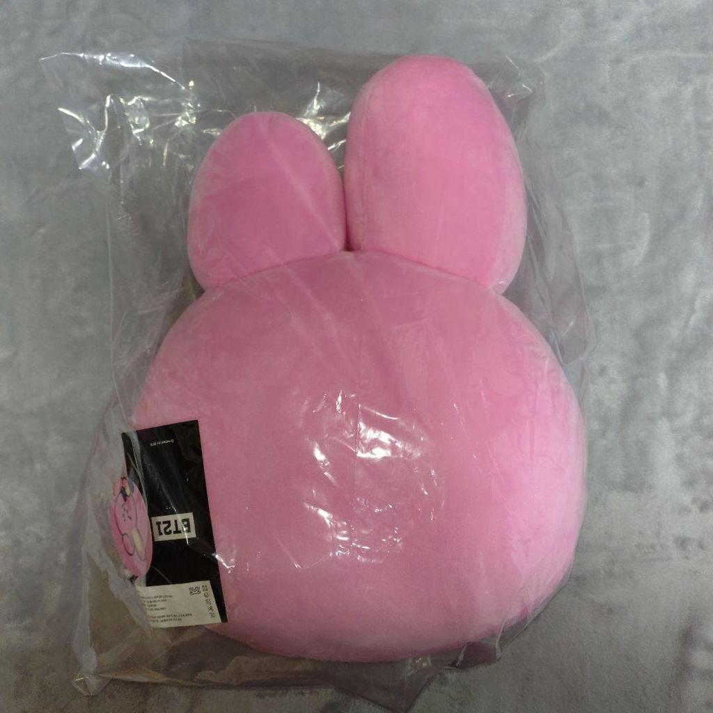 [USED] Price Reduced BTS BT21 Cooky Jungkook Cushion