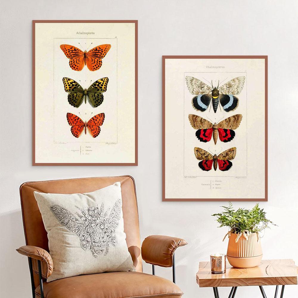 Nordic RETRO Art Canvas Painting Butterfly Insect Evolution Poster Living Room Corridor Wall Painting Home Decoration Mural No Frame