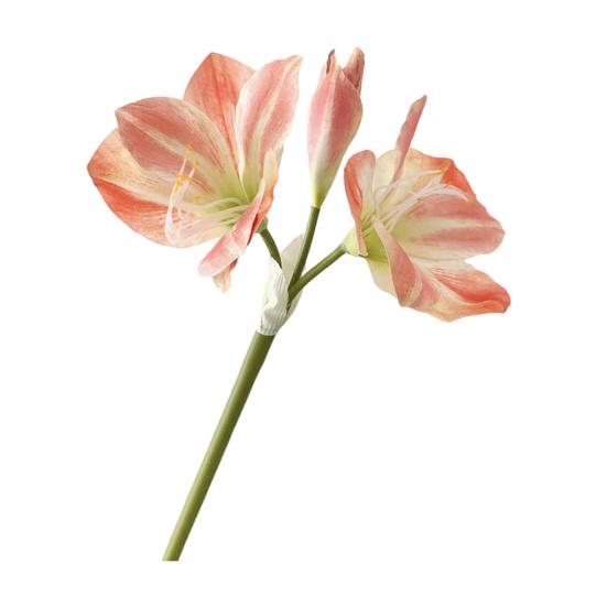 22" Real Touch Künstlicher Amaryllis-Strauß Langer Stiel Seidenblume mit 2 vollen Blüten und 1 Knospe für Haus Büro Vase Blumengestecke