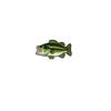 1/5Pcs Freshwater Saltwater Fish Enamel Pins Trout Tuna Bass Lapel Pin Fishing Lover Brooch Backpack Clothes Decor Gift