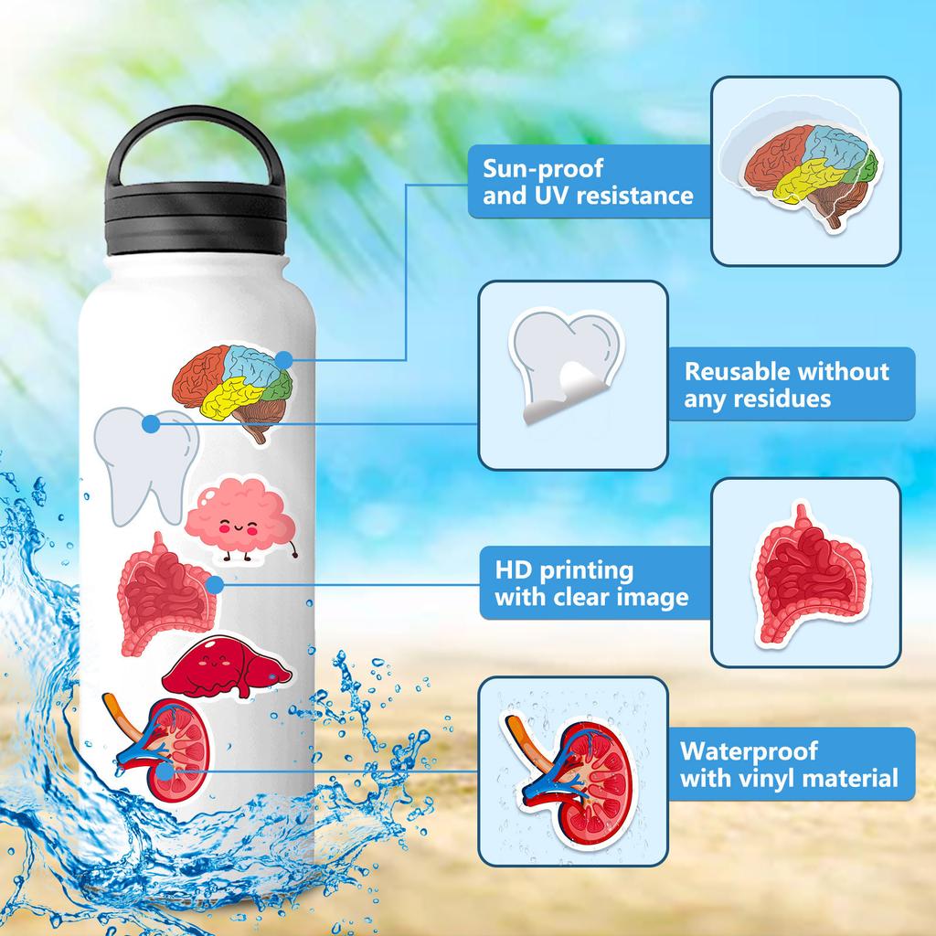 50 Cute Human Organ Stickers for Decorating Cartoon Human Organ Children's Early Education Stickers