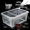 Large Reptile & Amphibian Terrarium with Hide for Snails, Spiders, Geckos, Frogs, and Turtles