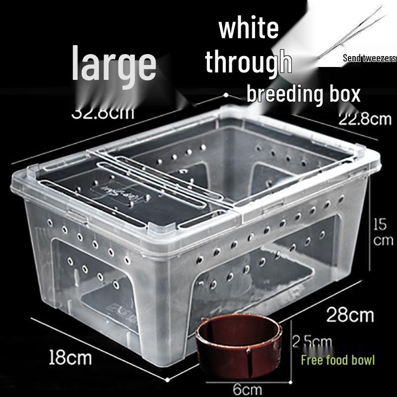 Large Reptile & Amphibian Terrarium with Hide for Snails, Spiders, Geckos, Frogs, and Turtles