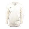 Mens Logo V Neck Sweatshirt