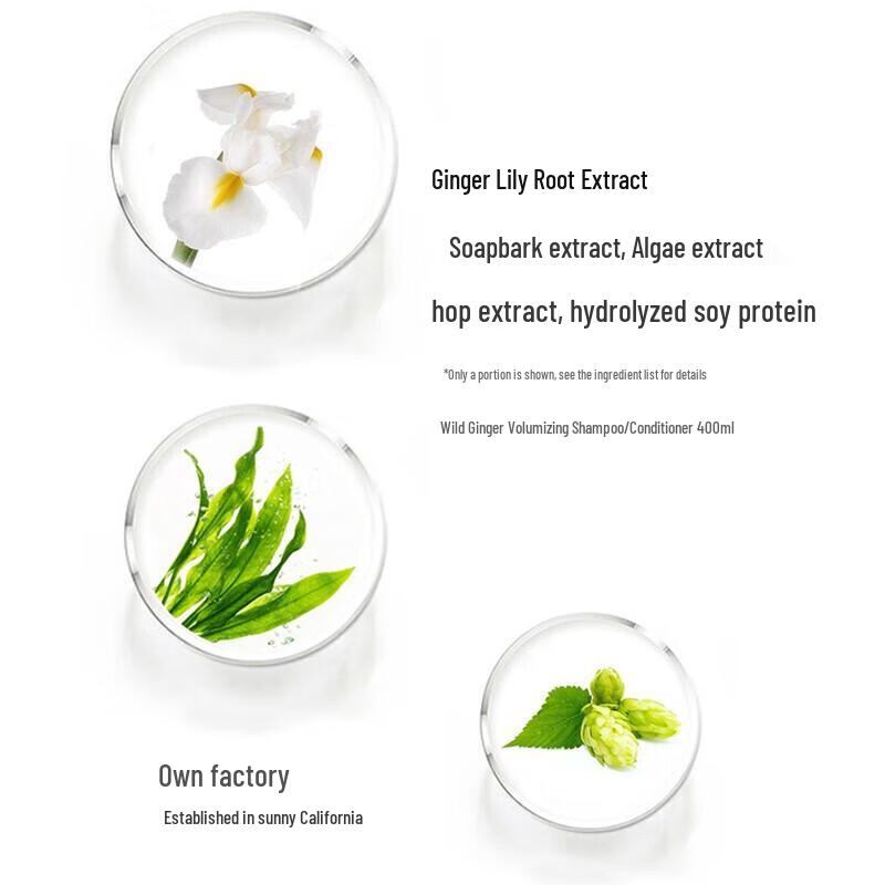 Nature's Gate Wild Ginger Volumizing Conditioner