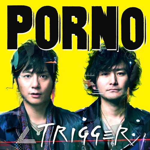 

CD PORNO GRAFFITTI VOYAGER SECL8578 2010 Japan Japanese PopRock Used