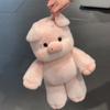 Joli jouet en peluche Run Pelucheux Rose Cochon Oreiller Sanglier des Highlands Kawaii Cadeau d'Anniversaire Noël pour Enfants Filles Amoureux des Animaux